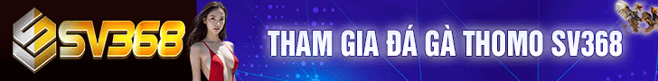 Banner ads daga360